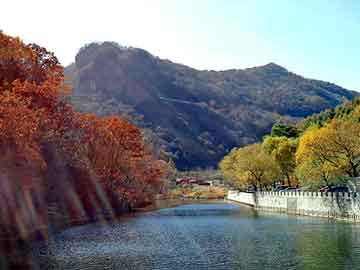 澳门二四六天天彩图库，磷铜板